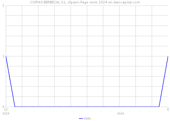 COPIAS BERBEGAL S.L. (Spain) Page visits 2024 
