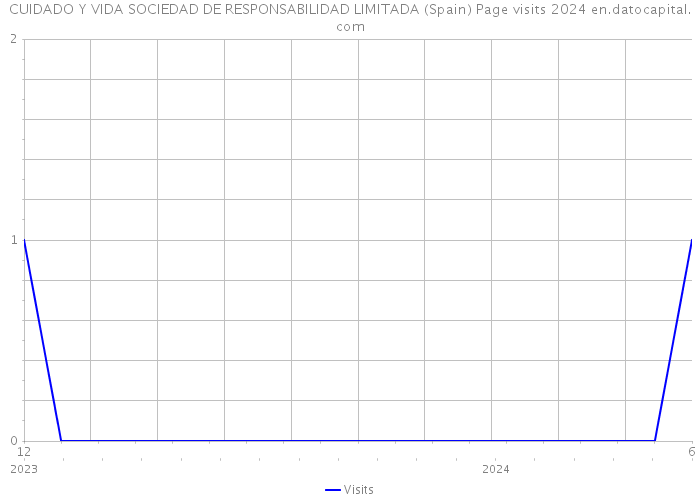 CUIDADO Y VIDA SOCIEDAD DE RESPONSABILIDAD LIMITADA (Spain) Page visits 2024 