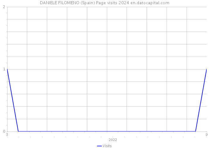 DANIELE FILOMENO (Spain) Page visits 2024 