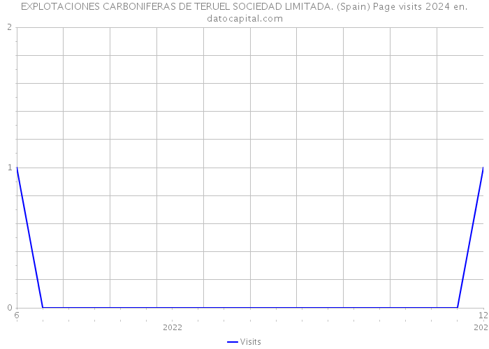 EXPLOTACIONES CARBONIFERAS DE TERUEL SOCIEDAD LIMITADA. (Spain) Page visits 2024 