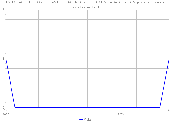 EXPLOTACIONES HOSTELERAS DE RIBAGORZA SOCIEDAD LIMITADA. (Spain) Page visits 2024 