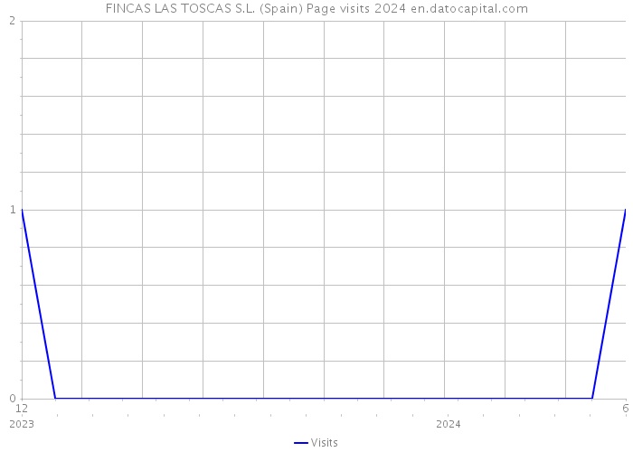 FINCAS LAS TOSCAS S.L. (Spain) Page visits 2024 