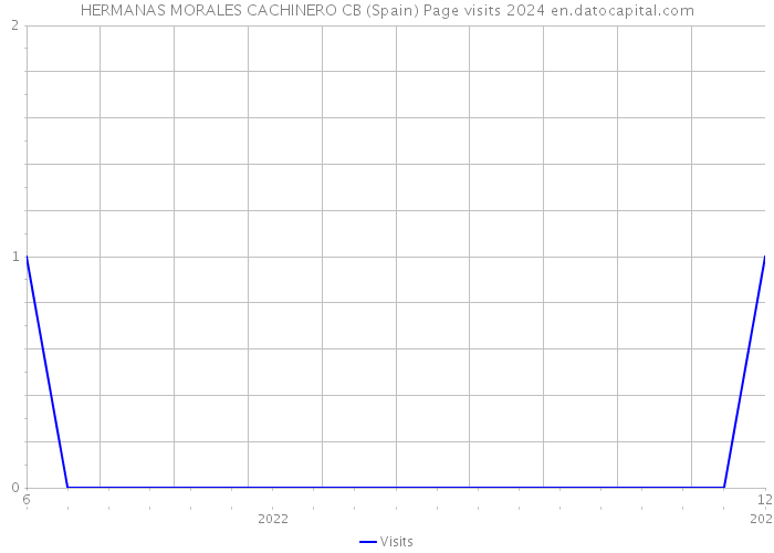 HERMANAS MORALES CACHINERO CB (Spain) Page visits 2024 