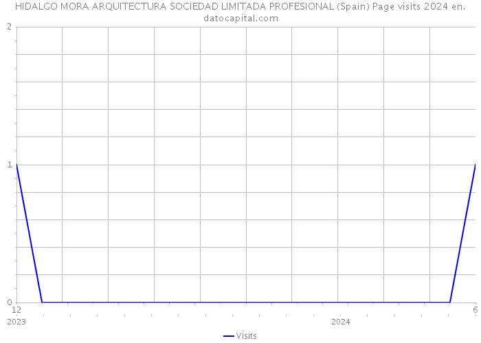 HIDALGO MORA ARQUITECTURA SOCIEDAD LIMITADA PROFESIONAL (Spain) Page visits 2024 