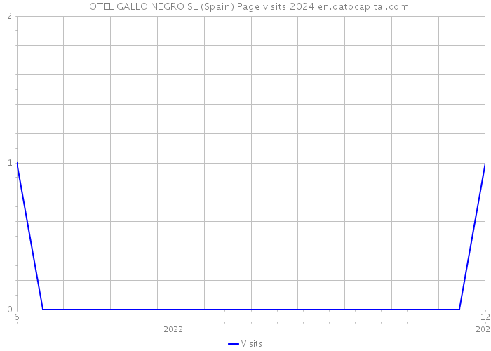 HOTEL GALLO NEGRO SL (Spain) Page visits 2024 