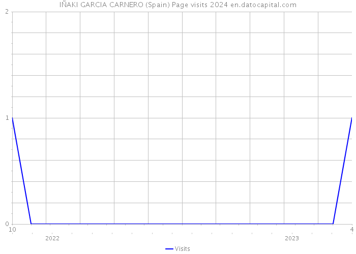 IÑAKI GARCIA CARNERO (Spain) Page visits 2024 