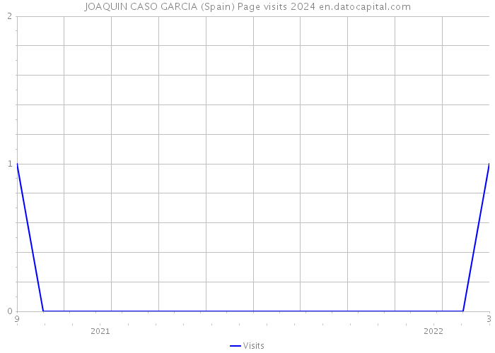 JOAQUIN CASO GARCIA (Spain) Page visits 2024 