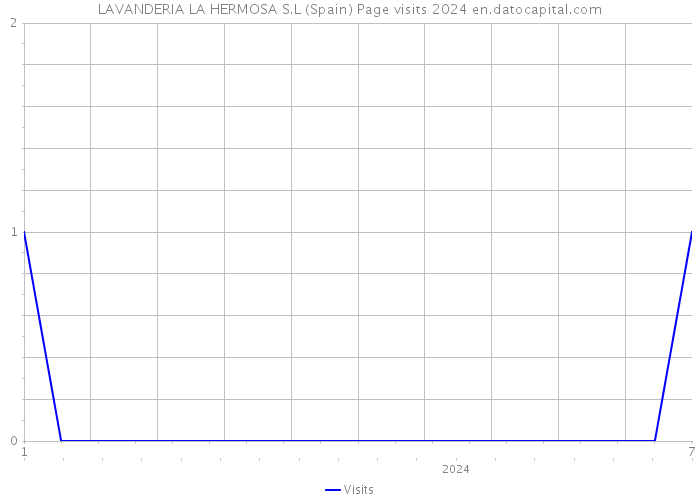 LAVANDERIA LA HERMOSA S.L (Spain) Page visits 2024 