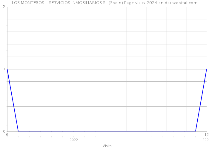 LOS MONTEROS II SERVICIOS INMOBILIARIOS SL (Spain) Page visits 2024 