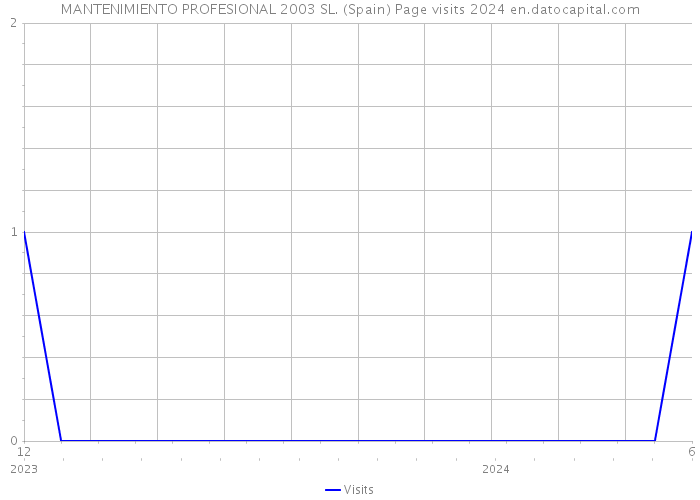 MANTENIMIENTO PROFESIONAL 2003 SL. (Spain) Page visits 2024 