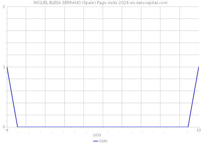 MIGUEL BLESA SERRANO (Spain) Page visits 2024 