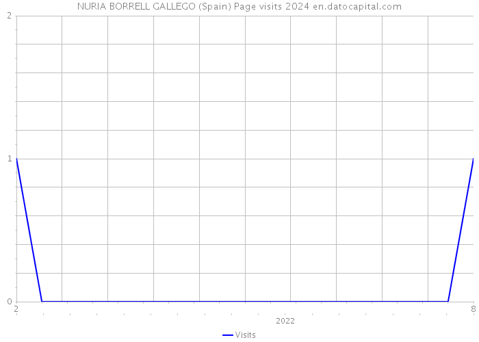 NURIA BORRELL GALLEGO (Spain) Page visits 2024 