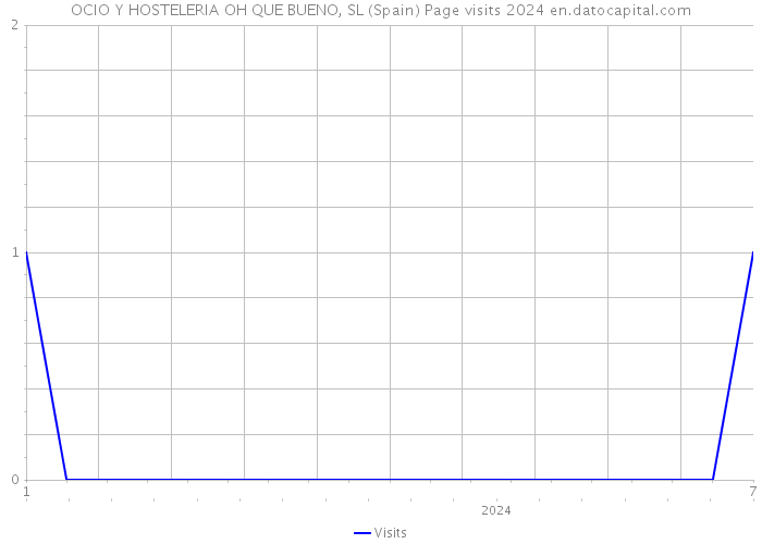 OCIO Y HOSTELERIA OH QUE BUENO, SL (Spain) Page visits 2024 
