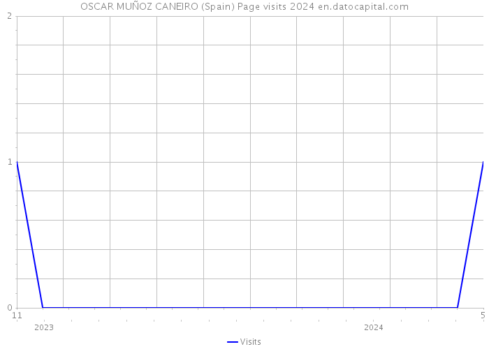 OSCAR MUÑOZ CANEIRO (Spain) Page visits 2024 