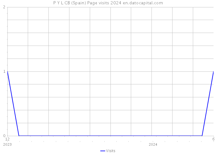 P Y L CB (Spain) Page visits 2024 