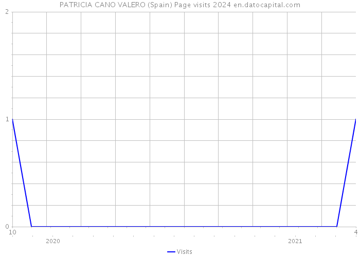 PATRICIA CANO VALERO (Spain) Page visits 2024 