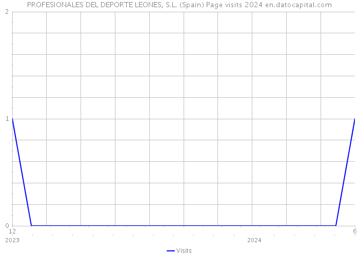 PROFESIONALES DEL DEPORTE LEONES, S.L. (Spain) Page visits 2024 