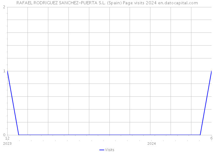 RAFAEL RODRIGUEZ SANCHEZ-PUERTA S.L. (Spain) Page visits 2024 