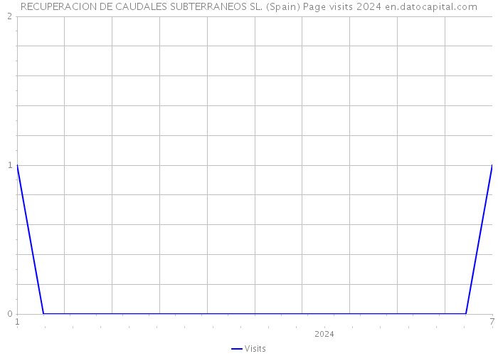 RECUPERACION DE CAUDALES SUBTERRANEOS SL. (Spain) Page visits 2024 