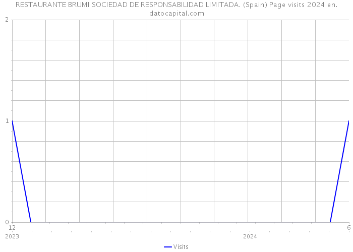 RESTAURANTE BRUMI SOCIEDAD DE RESPONSABILIDAD LIMITADA. (Spain) Page visits 2024 