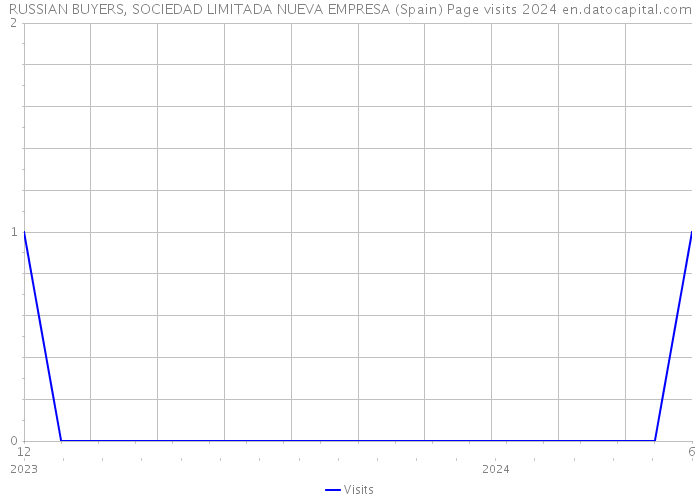 RUSSIAN BUYERS, SOCIEDAD LIMITADA NUEVA EMPRESA (Spain) Page visits 2024 