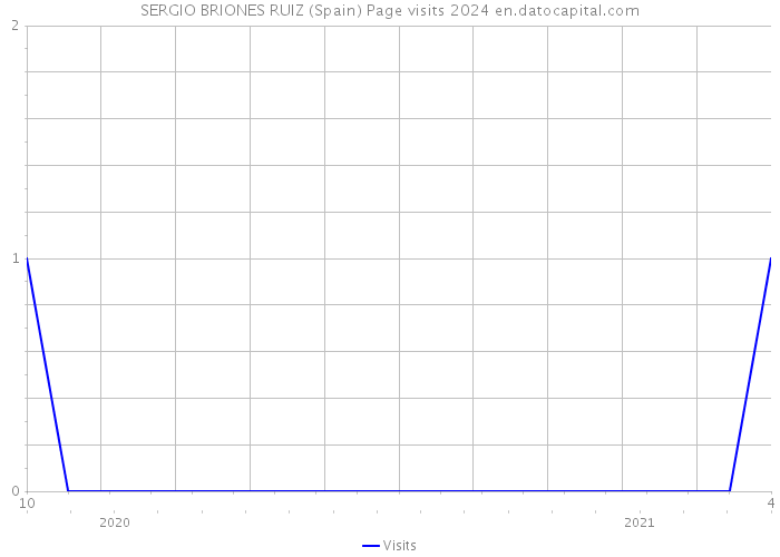 SERGIO BRIONES RUIZ (Spain) Page visits 2024 