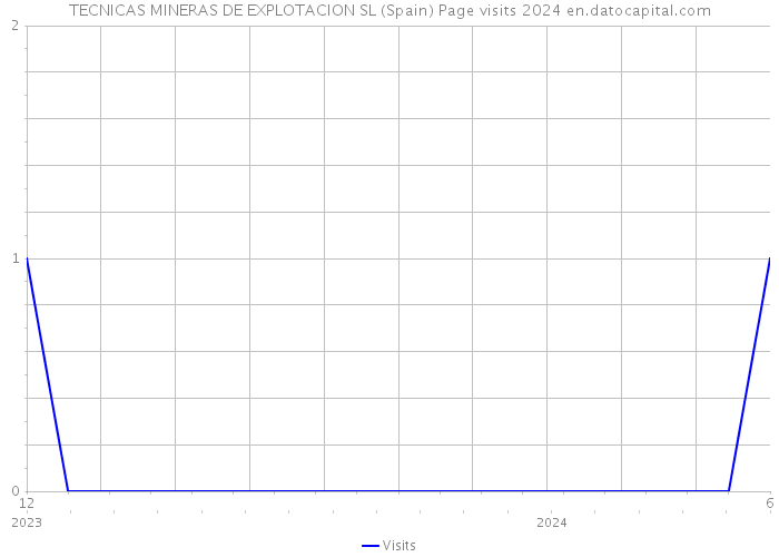 TECNICAS MINERAS DE EXPLOTACION SL (Spain) Page visits 2024 