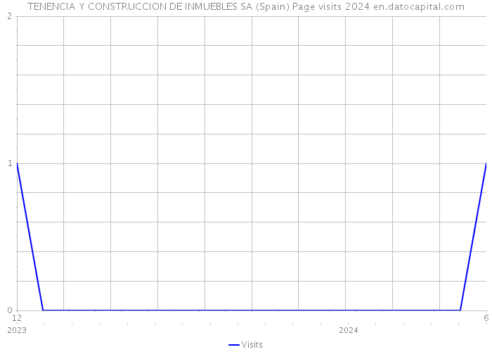 TENENCIA Y CONSTRUCCION DE INMUEBLES SA (Spain) Page visits 2024 