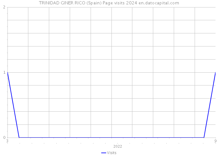 TRINIDAD GINER RICO (Spain) Page visits 2024 