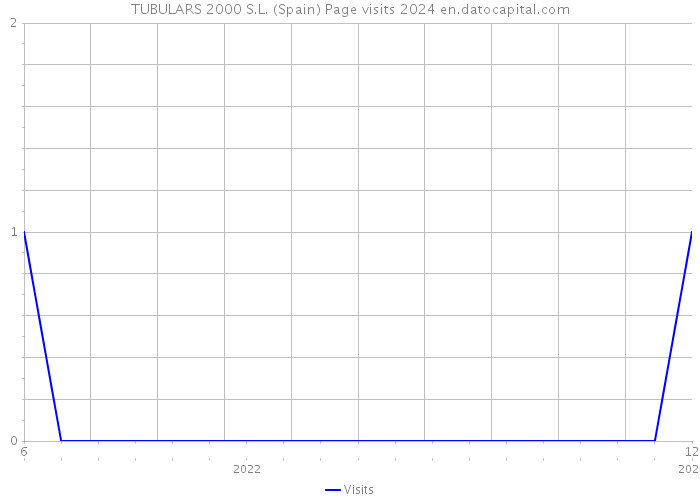 TUBULARS 2000 S.L. (Spain) Page visits 2024 
