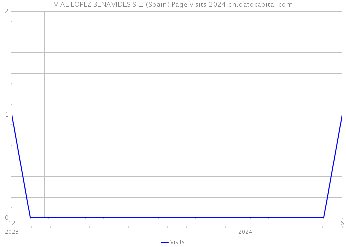 VIAL LOPEZ BENAVIDES S.L. (Spain) Page visits 2024 