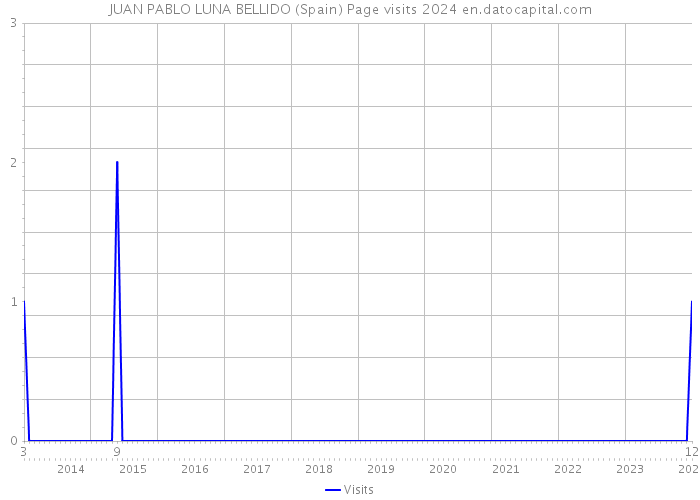 JUAN PABLO LUNA BELLIDO (Spain) Page visits 2024 