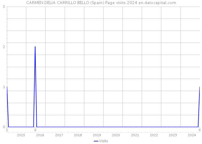 CARMEN DELIA CARRILLO BELLO (Spain) Page visits 2024 