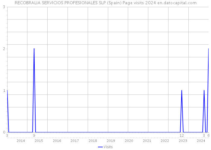 RECOBRALIA SERVICIOS PROFESIONALES SLP (Spain) Page visits 2024 