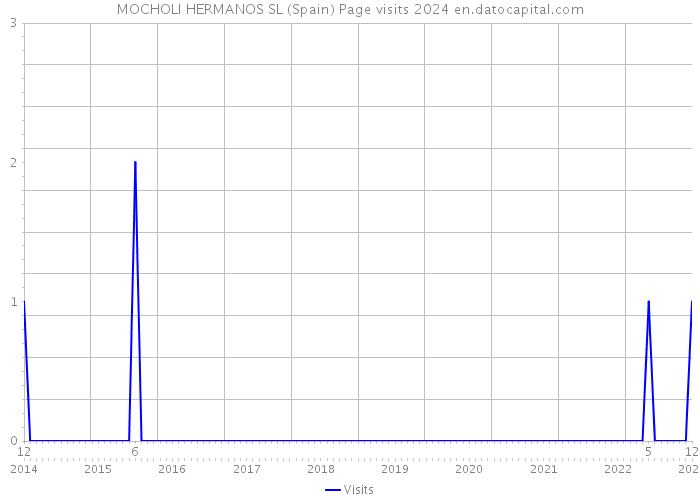 MOCHOLI HERMANOS SL (Spain) Page visits 2024 