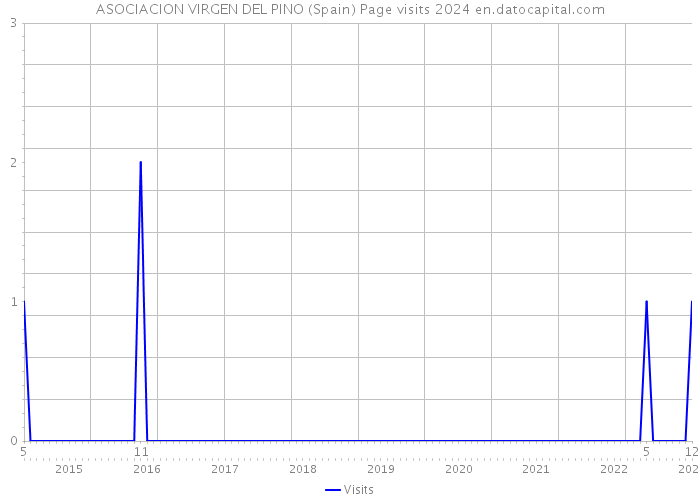 ASOCIACION VIRGEN DEL PINO (Spain) Page visits 2024 
