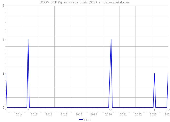 BCOM SCP (Spain) Page visits 2024 