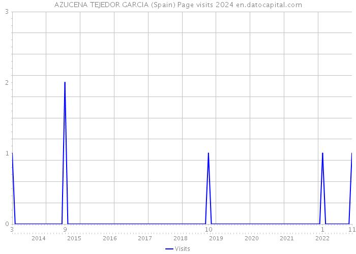 AZUCENA TEJEDOR GARCIA (Spain) Page visits 2024 