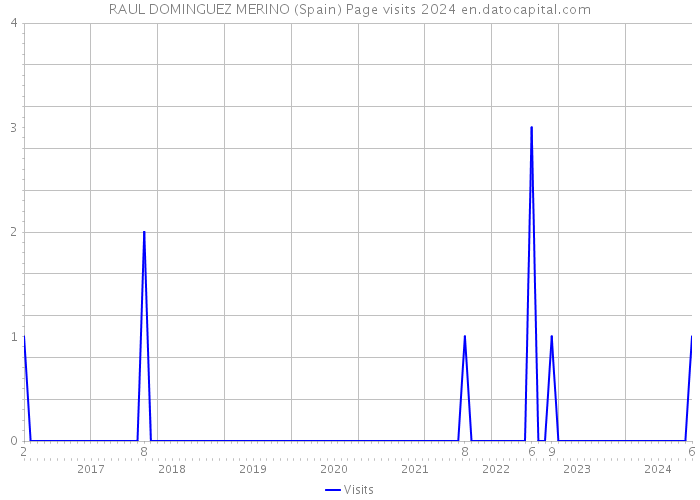 RAUL DOMINGUEZ MERINO (Spain) Page visits 2024 