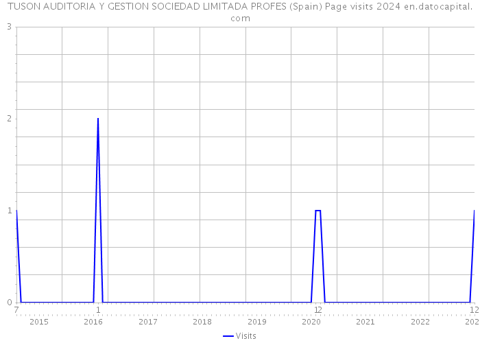 TUSON AUDITORIA Y GESTION SOCIEDAD LIMITADA PROFES (Spain) Page visits 2024 