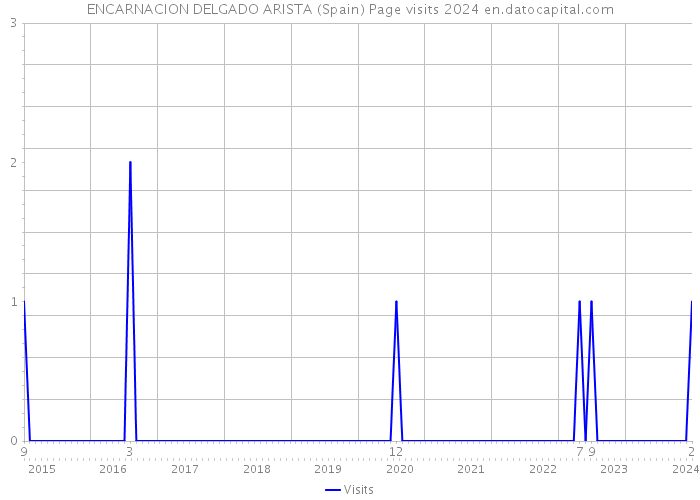 ENCARNACION DELGADO ARISTA (Spain) Page visits 2024 