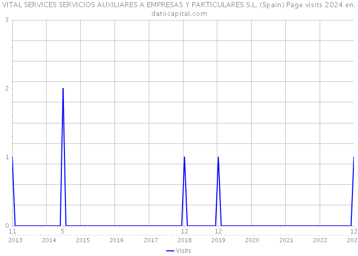 VITAL SERVICES SERVICIOS AUXILIARES A EMPRESAS Y PARTICULARES S.L. (Spain) Page visits 2024 