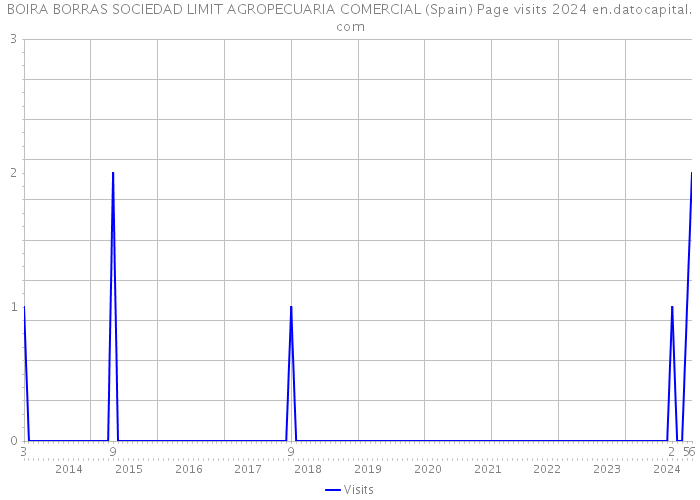 BOIRA BORRAS SOCIEDAD LIMIT AGROPECUARIA COMERCIAL (Spain) Page visits 2024 
