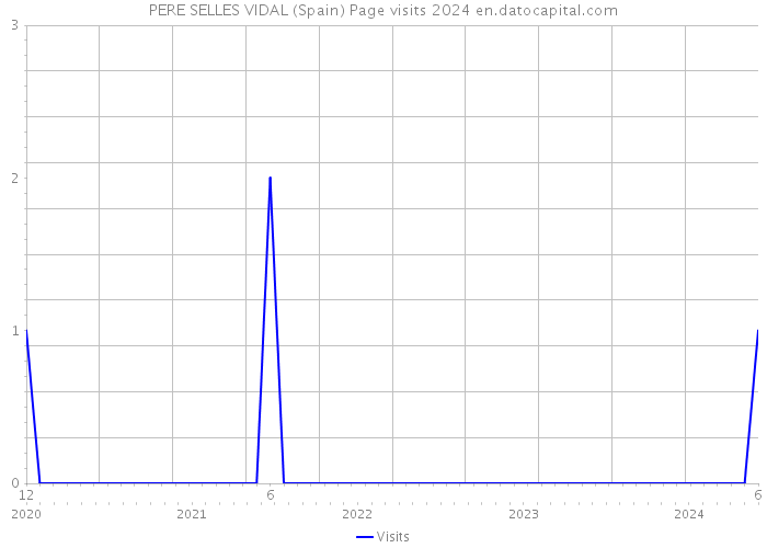 PERE SELLES VIDAL (Spain) Page visits 2024 