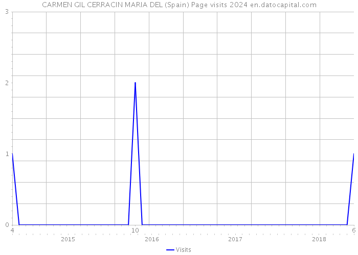 CARMEN GIL CERRACIN MARIA DEL (Spain) Page visits 2024 