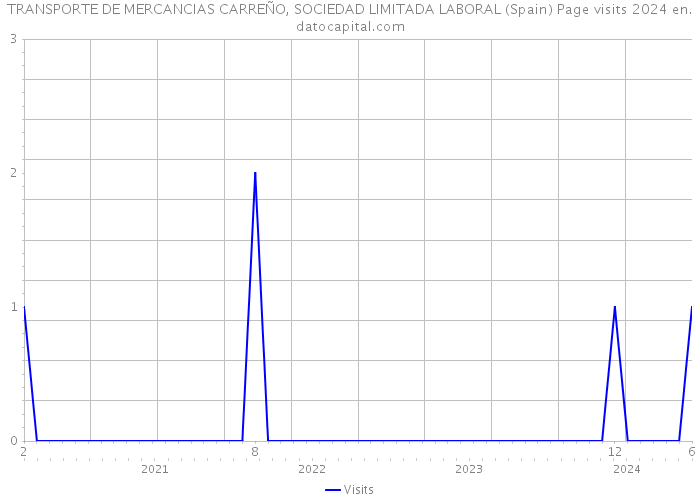TRANSPORTE DE MERCANCIAS CARREÑO, SOCIEDAD LIMITADA LABORAL (Spain) Page visits 2024 