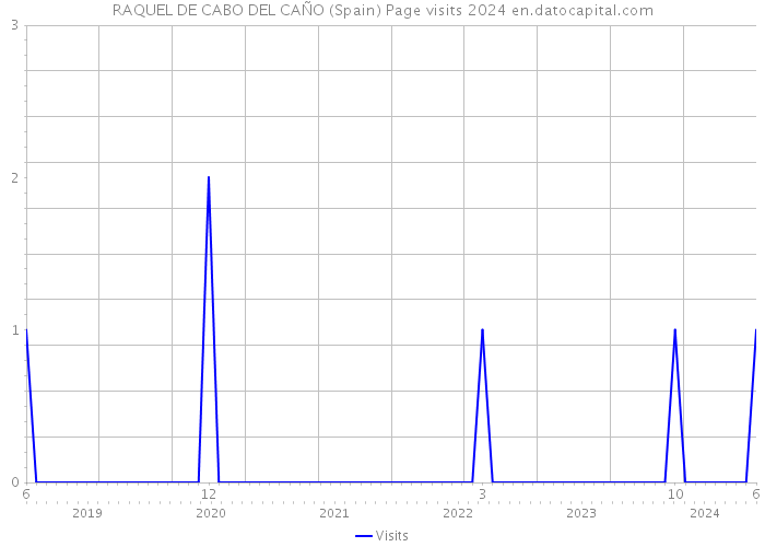RAQUEL DE CABO DEL CAÑO (Spain) Page visits 2024 