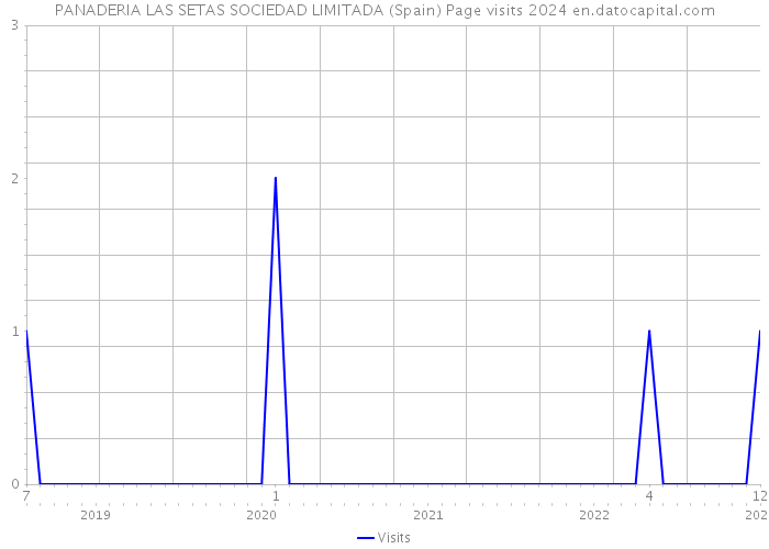 PANADERIA LAS SETAS SOCIEDAD LIMITADA (Spain) Page visits 2024 