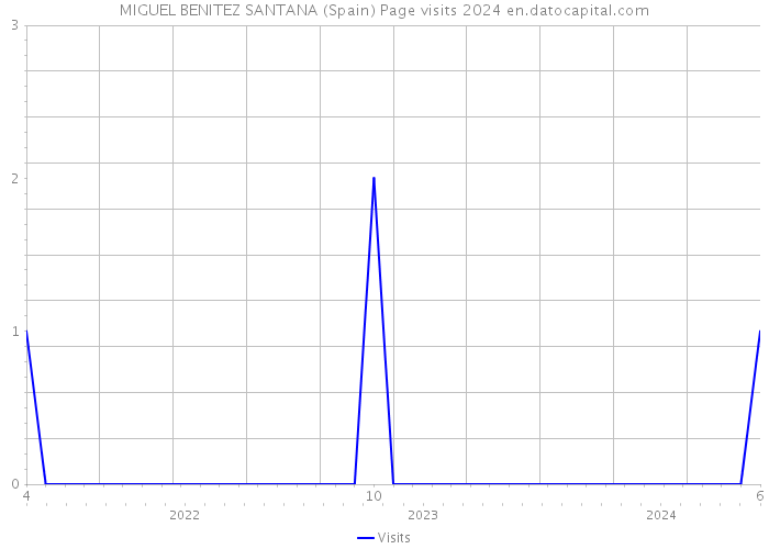 MIGUEL BENITEZ SANTANA (Spain) Page visits 2024 