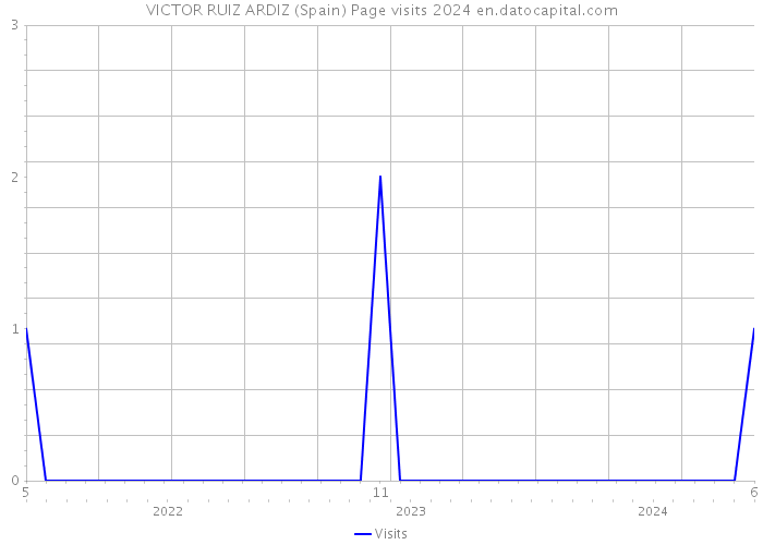 VICTOR RUIZ ARDIZ (Spain) Page visits 2024 